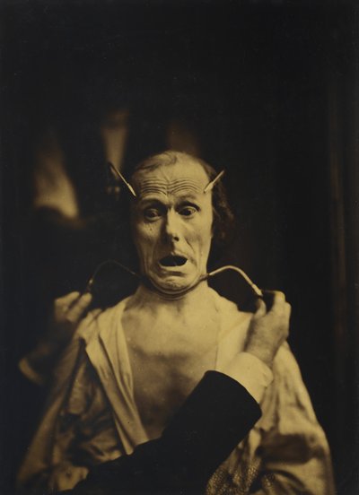 Terror, 1854–56, printed 1862 by Nadar
